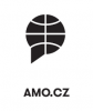 logo „Asociace pro mezinárodní otázky, z. s.”